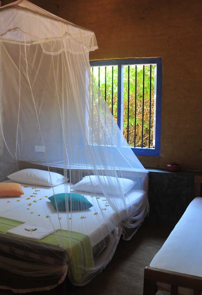 Safari Lodge Yala - Accommodation